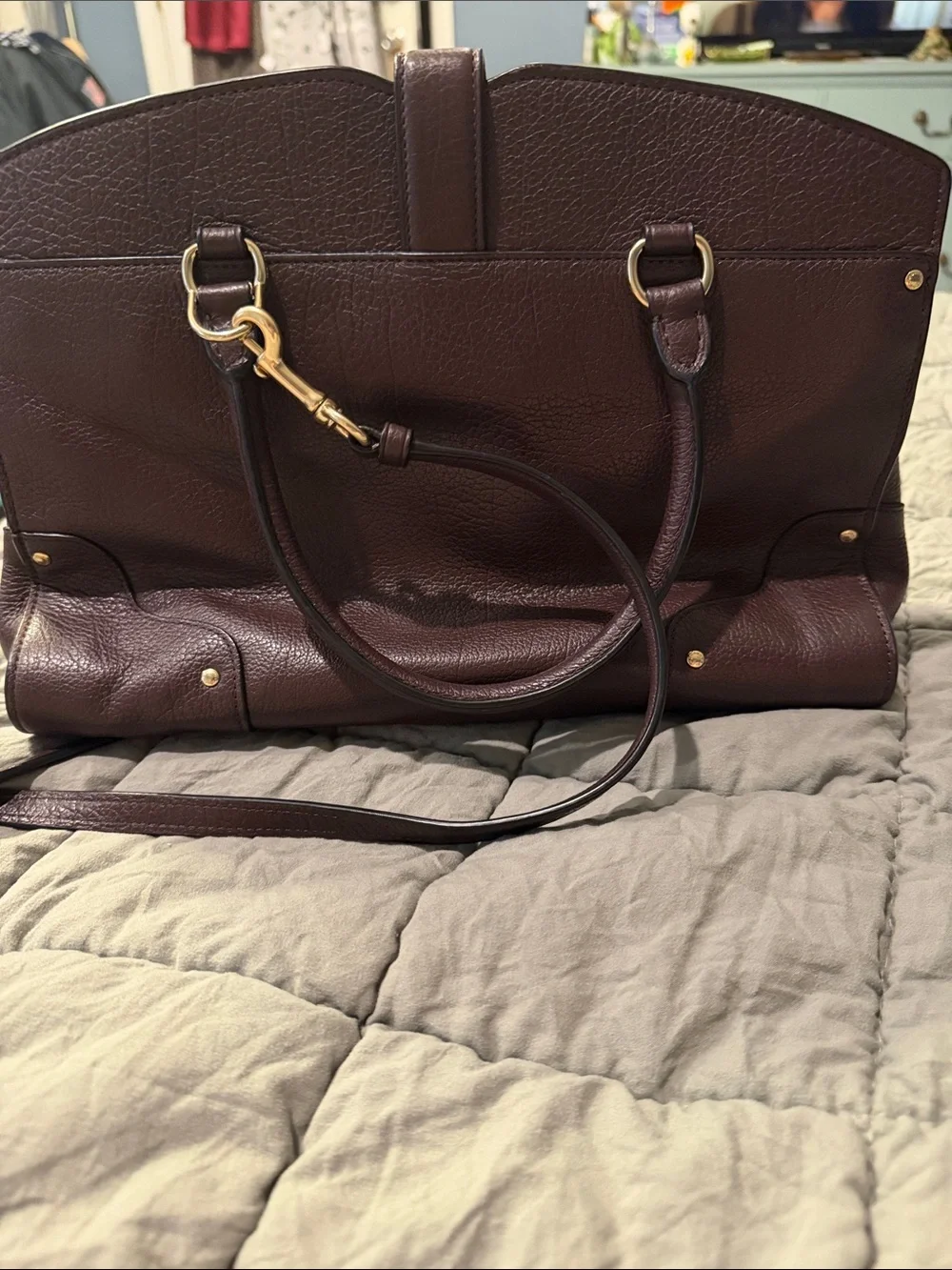 Coach Plum Leather Satchel with Gold-Tone Hardware